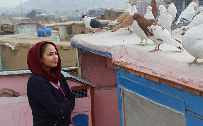 حمایت «آنجلینا جولی» از کارگردان زن افغانستانی