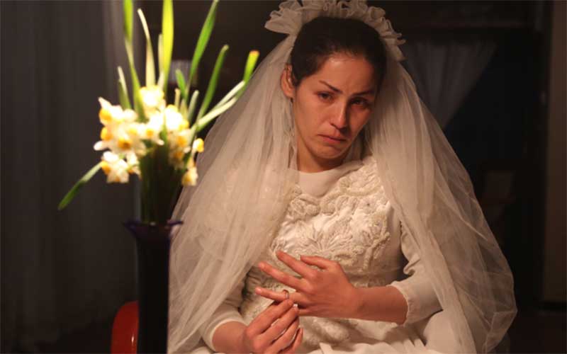 حمایت «آنجلینا جولی» از کارگردان زن افغانستانی