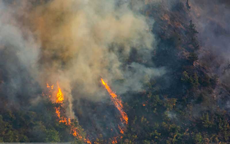 از ثبت جهانی جنگلهای ارسباران چه خبر؟