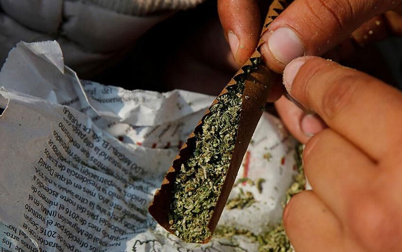 افزایش تمایل دانشآموزان به مصرف گل