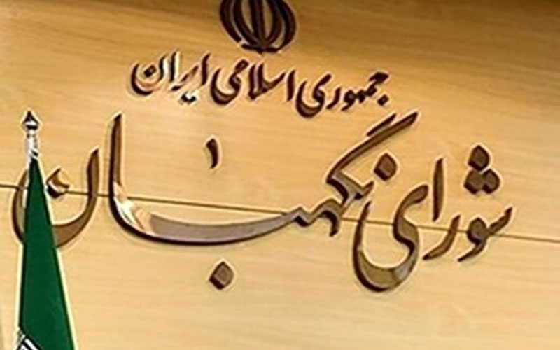 رئیس جمهور درخواست کند نظارت استصوابی شورای نگهبان به رفراندوم گذاشته شود