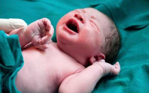 شرایط اهدا و دریافت تخمک و جنین،روشی کارآمد برای درمان ناباروری