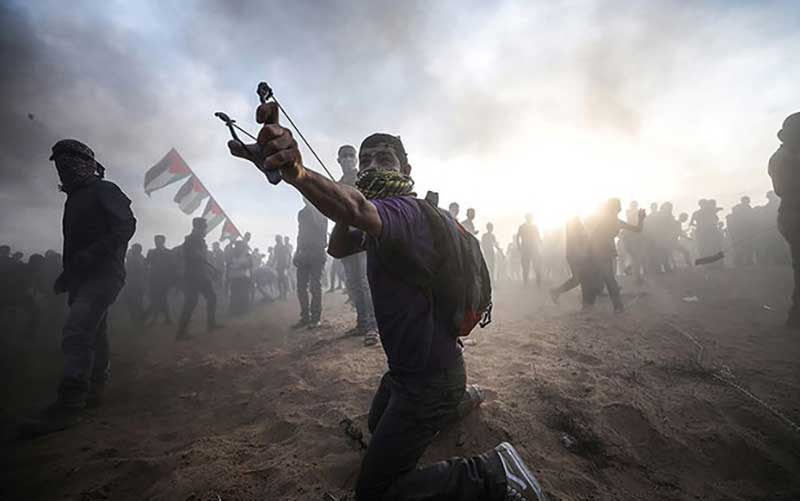 برگزیدگان جایزه IPA و لوسی معرفی شدند