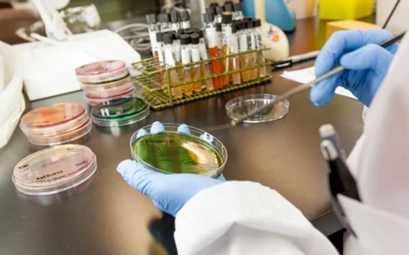 تست CBC یکی از پرکاربردترین آزمایش های تشخیص طبی است