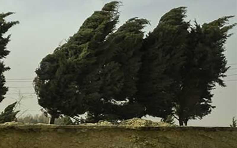 تداوم باد و باران در اغلب نقاط کشور