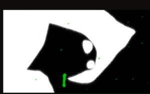 «سیکل-وی»-از-ایران-به-آمریکا-می‌رود