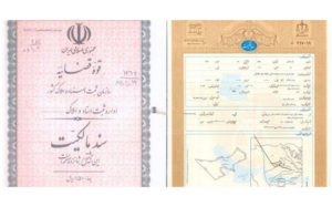 بسیاری-از-مفاسد-اقتصادی-ریشه-در-قولنامه-دارد