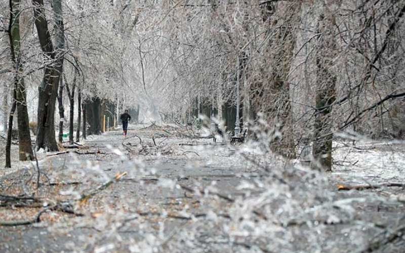 بیش از ۵۰۰ زخمی در حوادث ناشی از لغزندگی جاده‌ها در غرب اوکراین