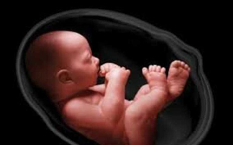تاثیر-دوران-جنینی-بر-ابتلاء-به-بیماری‌های-قلبی-و-فشار-خون