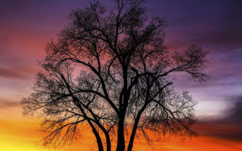 تصاویر : دیدنی‌های امروز سه شنبه ۱۴ آبان‌ماه