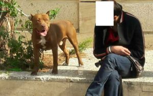 حمله سگ به دو شهروند در محله دزاشیب