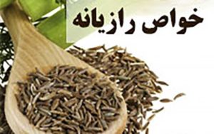 رازیانه و كاربردهای درمانی آن