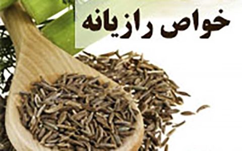 رازیانه و كاربردهای درمانی آن