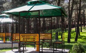 شناسایی و خرید 11 باغ جدید در تهران