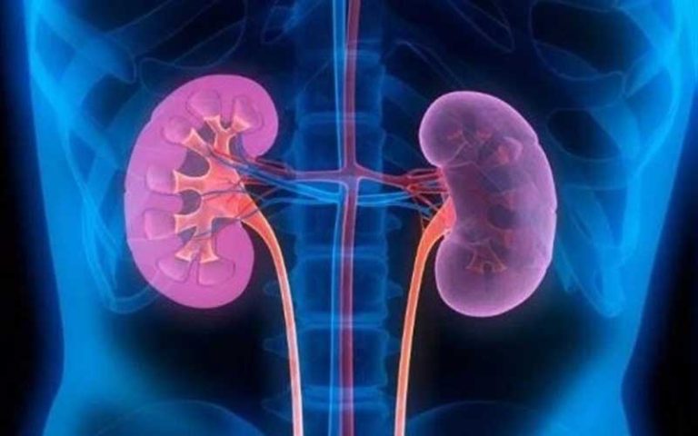 علائم-عفونت-ادراری-چیست–راهکارهای-پیشگیری-و-درمان