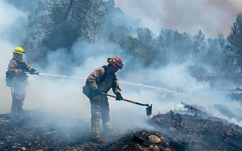 مهار ۷۰ درصد آتش‌سوزی‌های جنگلی در کالیفرنیا