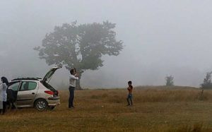 نجات گردشگران مفقودی جنگل ابر