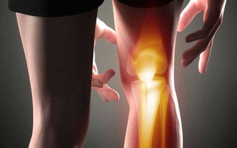 پیش بینی انجام 100 هزار تعویض مفصل درسال 1 پیش بینی انجام 100 هزار تعویض مفصل درسال