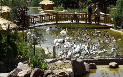 ۷۰۰ میلیارد تومان برای فاز دو باغ پرندگان خرج شده است