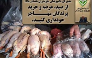 از خرید لاشه پرندگان مهاجر خودداری کنید