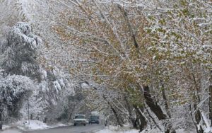 بارش برف و باران در برخی مناطق کشور
