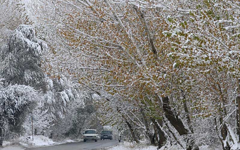 بارش برف و باران در برخی مناطق کشور