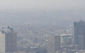تاثیر-آلودگی-هوا-بر-جمعیت-سوسک‌های-قرمز