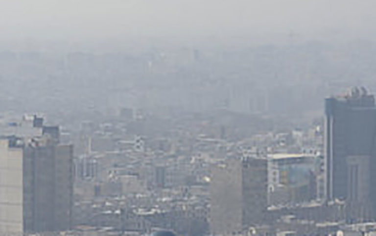 تاثیر-آلودگی-هوا-بر-جمعیت-سوسک‌های-قرمز
