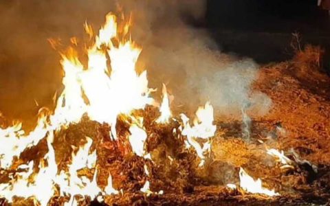 تاثیر پسماندسوزی بر تشدید آلودگی هوای تهران 1 تاثیر پسماندسوزی بر تشدید آلودگی هوای تهران