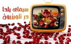 خلاقیت صداوسیما در برنامه‌های شب یلدا!