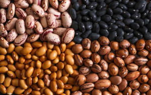 خیز-حبوبات-و-خواربار-برای-افزایش-قیمت