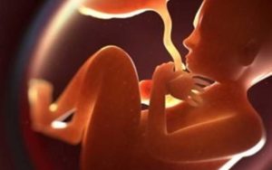 صدور-۴۵۰۰-مجوز-سقطبه‌دلیل-احتمال-اختلالات-ژنتیکی!