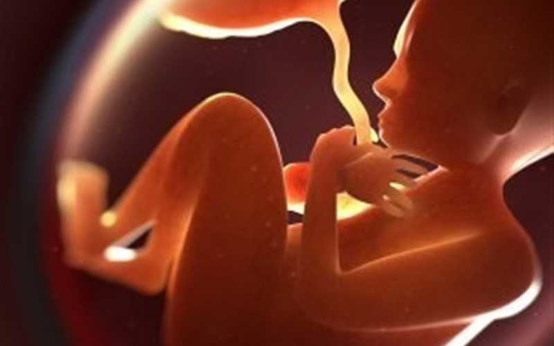 صدور-۴۵۰۰-مجوز-سقطبه‌دلیل-احتمال-اختلالات-ژنتیکی!