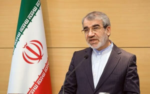 طعنه-کدخدایی-به-انتقاد-حجتی-کرمانی-از-شورای-نگهبان