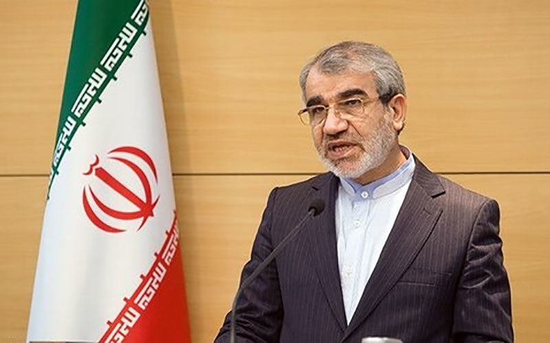 طعنه-کدخدایی-به-انتقاد-حجتی-کرمانی-از-شورای-نگهبان
