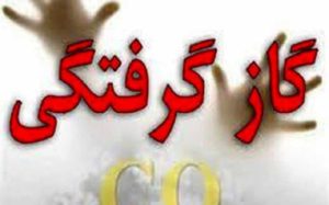 مرگ-۳۱۴-نفر-بر-اثر-مسمومیت-با-گاز-در-هشت-ماهه-امسال