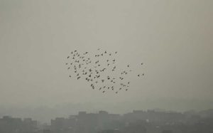 پیش‌بینی جوی پایدار برای اغلب مناطق کشور