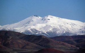 کارد برداشته اند و البرز را تیکه و پاره می‌کنند