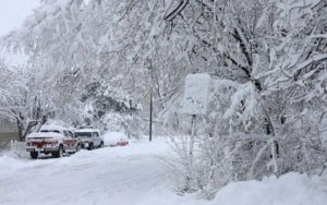 کشف اجساد زوج سالخورده آمریکایی زیر برف‌