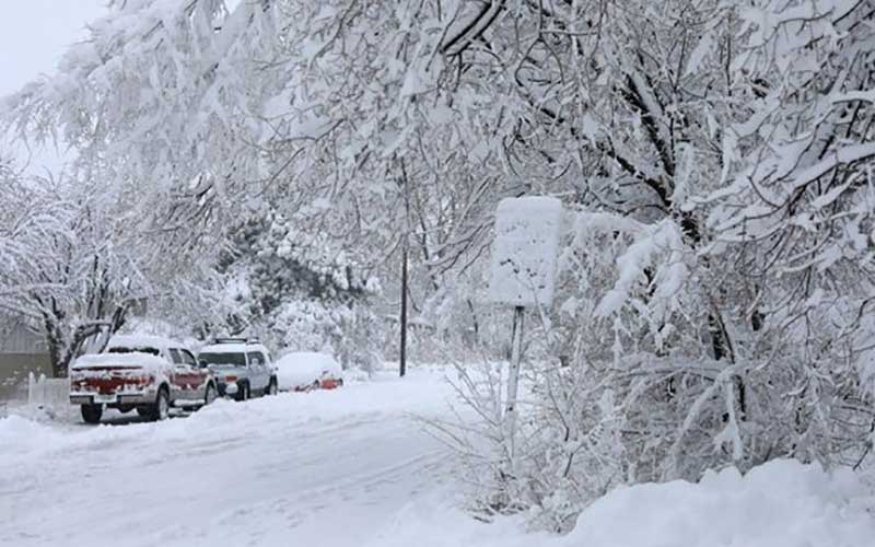 کشف اجساد زوج سالخورده آمریکایی زیر برف‌