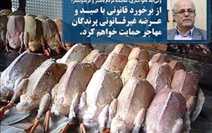 یک راهکار کلیدی برای برچیدن فروش غیرقانونی پرندگان مهاجر در فریدونکنار