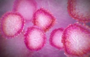 Coronavirus