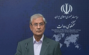 بیانیه-سخنگوی-دولت-درباره-سقوط-هواپیمای-اوکراینی