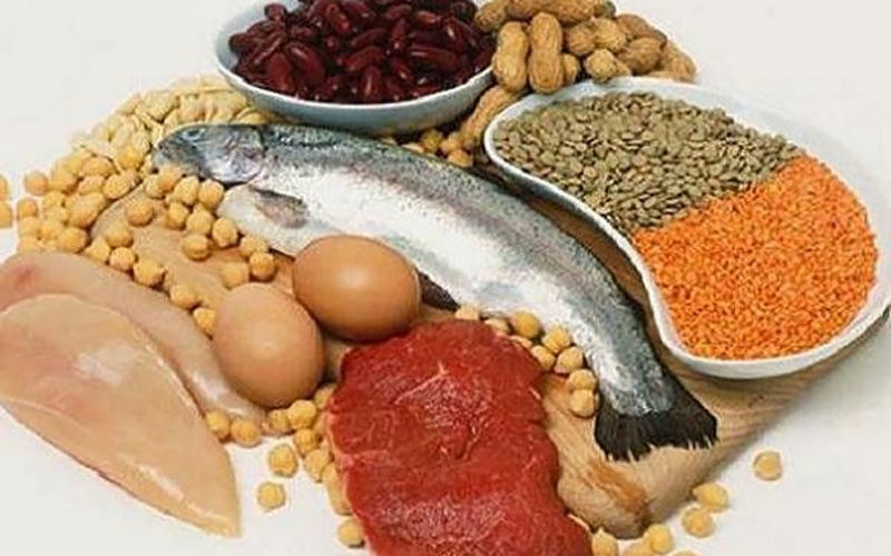 بین-مصرف-پروتئین-و-مرگ-های-سرطانی-ارتباط-وجود-دارد