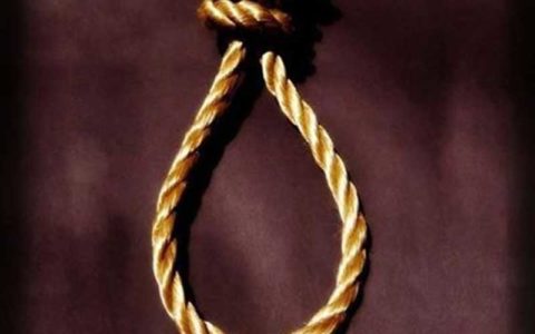 تمساح خلیج فارس اعدام شد 1 تمساح خلیج فارس اعدام شد