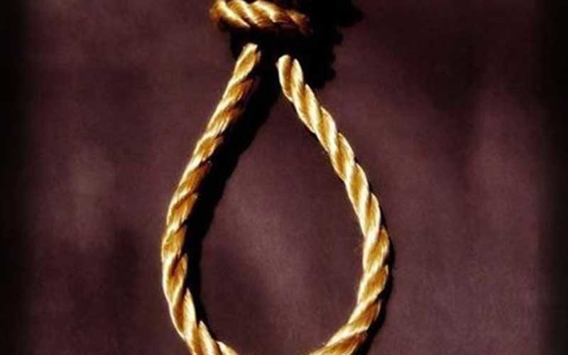 تمساح-خلیج-فارس-اعدام-شد