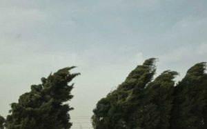 وزش-باد-شدید-در-جنوب-کشور