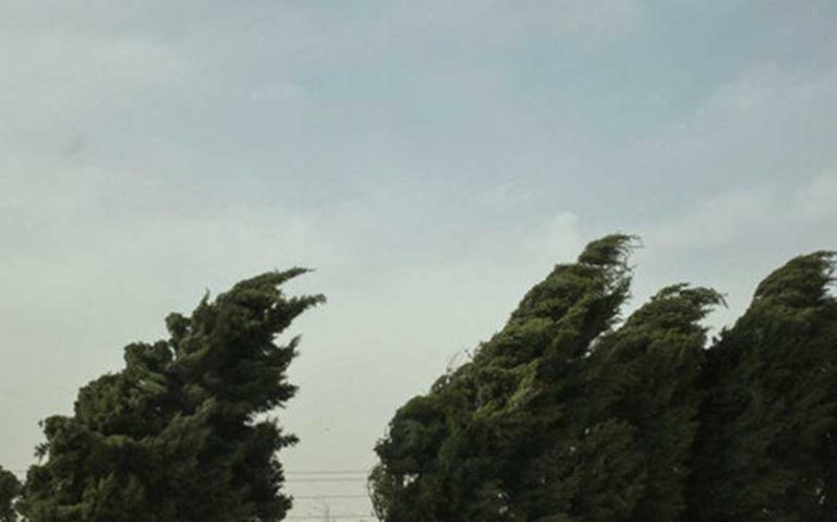 وزش-باد-شدید-در-جنوب-کشور