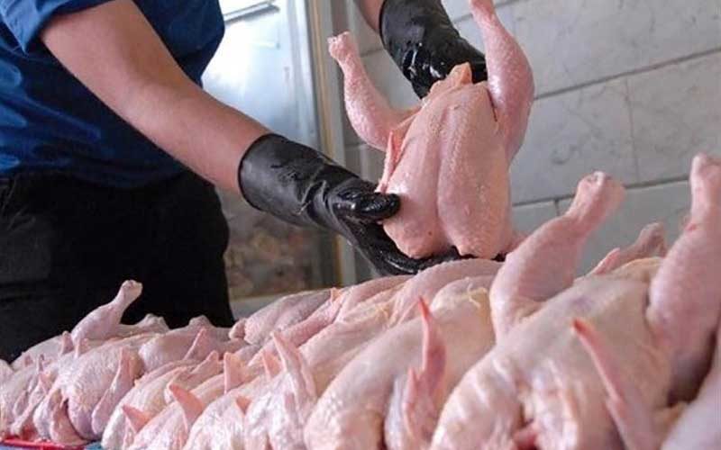 کاهش-قیمت-مرغ-تازه-در-میادین-میوه‌-و‌-تره‌بار