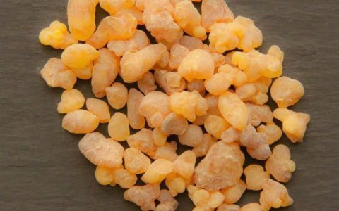 نقشه راه تجاری سازی صمغ های بومی ایران تدوین شد 1 نقشه راه تجاری سازی صمغ های بومی ایران تدوین شد